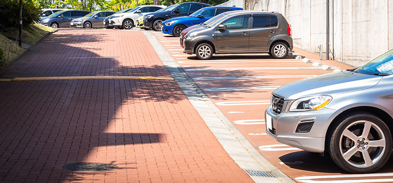 Update: Land Court Grants Summary Judgment in Favor of Record Title Holder against Claimed Adverse Possessor