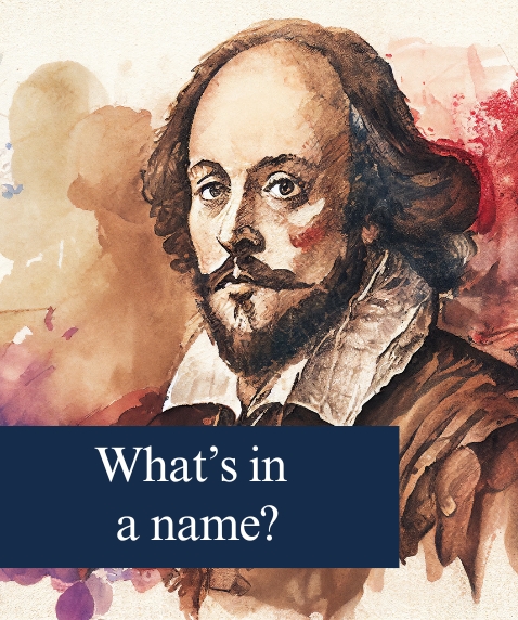 What’s in a name: Supplemental v. Special Assessments