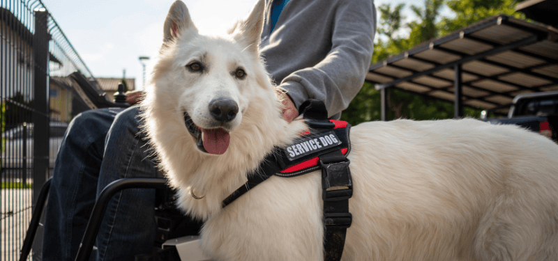 Supreme Judicial Court Affirms Boston Zoning Appeal Bond Standard