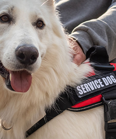 MCAD Hearing Officer Awards Damages Against Landlord and Property Manager