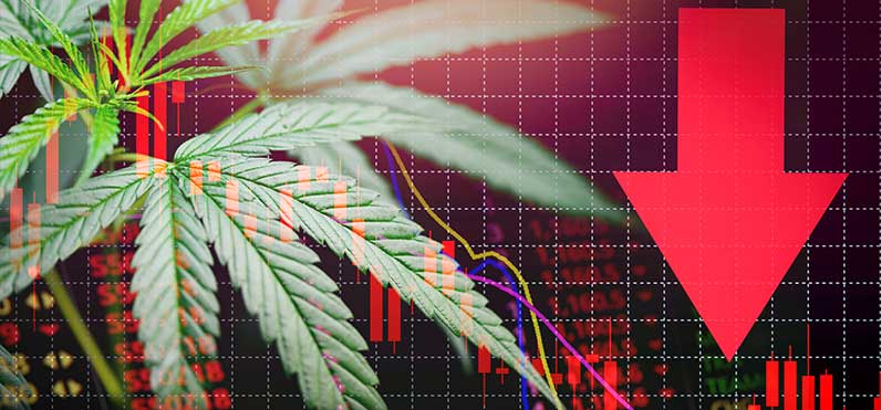 Oil and Water: Marijuana and Bankruptcy Law