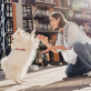 Condo Law Blog